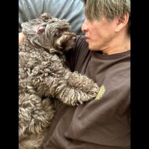 Takuya Kimura Instagram - ⁡
⁡
⁡
「皆さん、ご心配をおかけしました。アムはとっても元気になりましたぁ〜❕
あぁ〜、良かった❕
でも、台風は近づいて来てるから…。
皆さんも色々と気を付けてくださいね。」
⁡
PEACE‼︎
⁡
STAYSAFE!
⁡
拓哉
#木村拓哉#TakuyaKimura