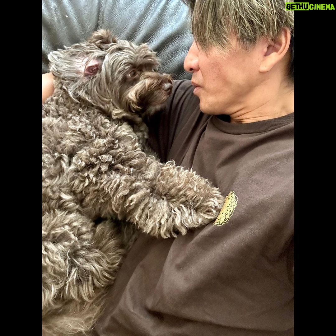 Takuya Kimura - 139.6K Likes -
「皆さん、ご心配をおかけしました。アムはとっても元気になりましたぁ〜❕
あぁ〜、良かった❕
でも、台風は近づいて来てるから…。
皆さんも色々と気を付けてくださいね。」
PEACE‼︎
STAYSAFE!
拓哉
#木村拓哉#TakuyaKimura