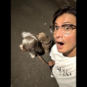 Takuya Kimura Instagram - ⁡
⁡
⁡
「エト＆ルンで8200歩❕
⁡
速いペースで歩かれると、割と汗をかいてますね…。
⁡
でも、たまに現れる猫さんには肩が外れる勢いの2人。
マジで勘弁してくりぃ……。」
⁡
PEACE‼︎
⁡
STAYSAFE!
⁡
拓哉
#木村拓哉#TakuyaKimura
