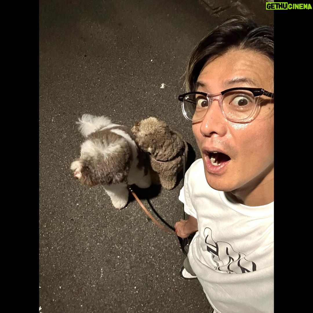 Takuya Kimura - 132.3K Likes -
「エト&ルンで8200歩❕
速いペースで歩かれると、割と汗をかいてますね…。
でも、たまに現れる猫さんには肩が外れる勢いの2人。
マジで勘弁してくりぃ……。」
PEACE‼︎
STAYSAFE!
拓哉
#木村拓哉#TakuyaKimura