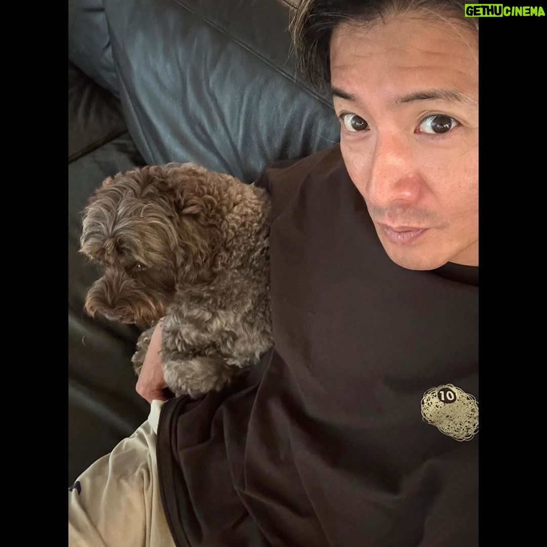 Takuya Kimura - 138.1K Likes -
「急に空の表情が変わってきて、いきなりの雷❕
あの大きな音が鳴り響くと、ピッタリと身体を寄せて来ます…。
物凄く細かく震えるアムに暫くの間"大丈夫‼︎"の声掛けです❕」
PEACE‼︎
STAYSAFE!
拓哉
#木村拓哉#TakuyaKimura