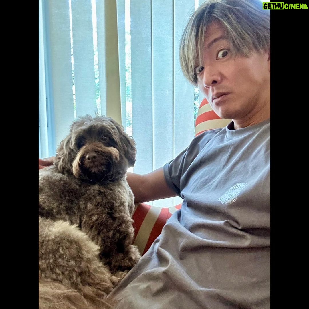 Takuya Kimura - 148.7K Likes -
「シャンプー&カットから帰って来たアム❕
真っ先に飛び込んで来てくれましたぁ〜❕
この後は、共にボクシング観戦です。」
PEACE‼︎
STAYSAFE!
拓哉
#木村拓哉#TakuyaKimura