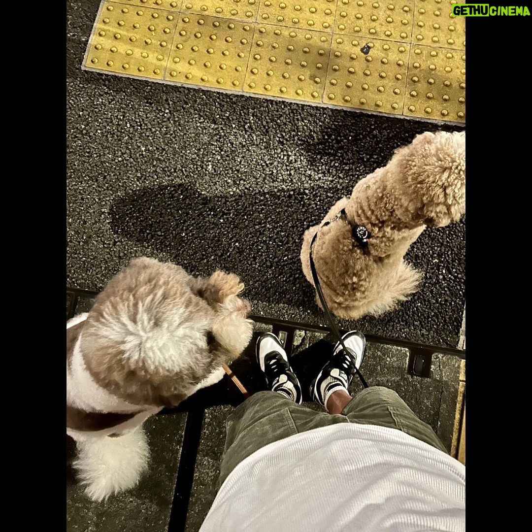 Takuya Kimura - 142.3K Likes -
「そしてナイトパトロールへ。
2回に分けて出動したら、12000歩になってましたぁ〜❕
最初は汗が吹き出しましたが、後半は風が気持ち良かったです。」
PEACE‼︎
STAYSAFE!
拓哉
#木村拓哉#TakuyaKimura
