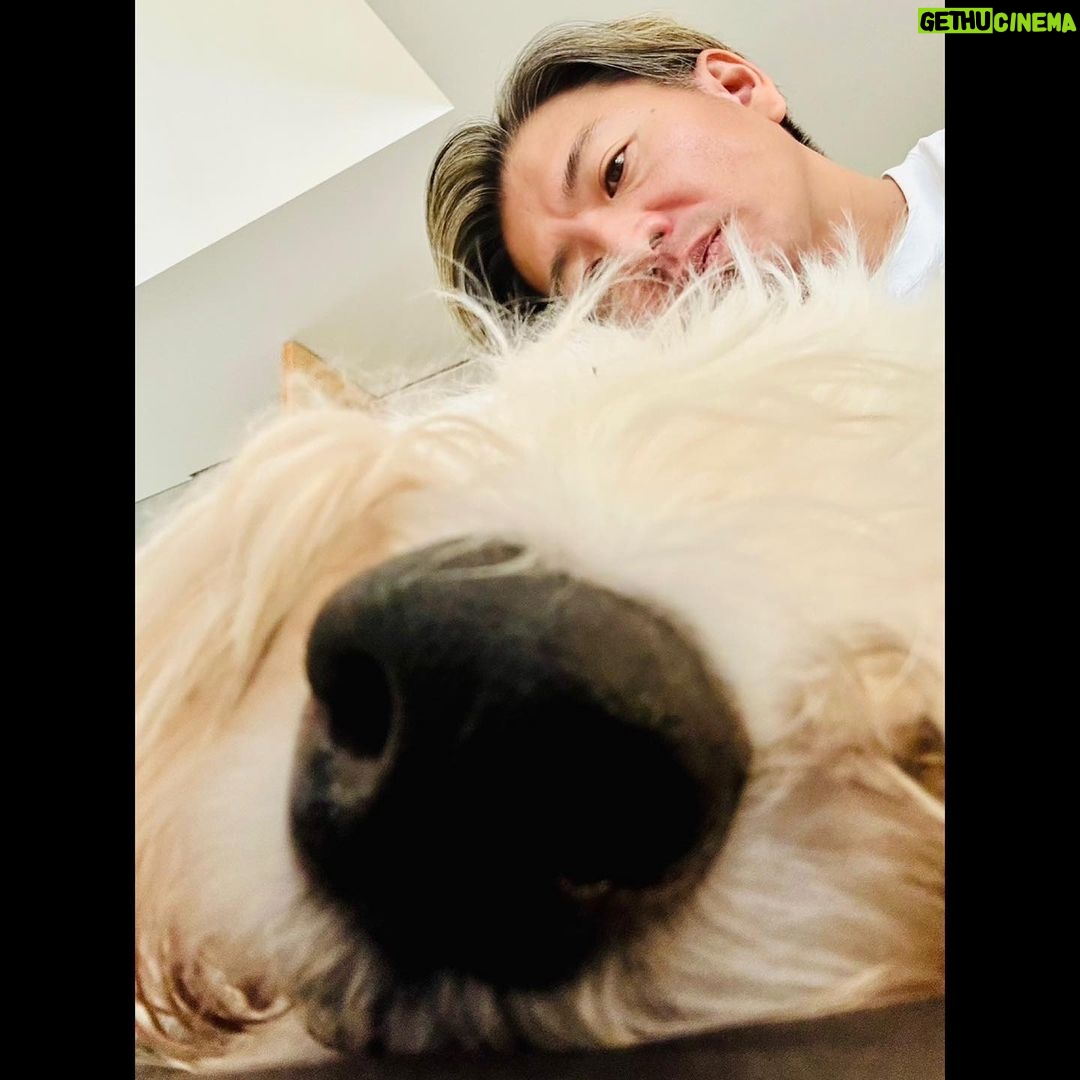 Takuya Kimura - 152.4K Likes -
「ひぃ爺❕
頑張ってくれてるね。
何度も何度も逝きそうになっても、踏み止まってくれてるね。
ありがとう❕ヒカル。」
PEACE‼︎
STAYSAFE!
拓哉
#木村拓哉#TakuyaKimura