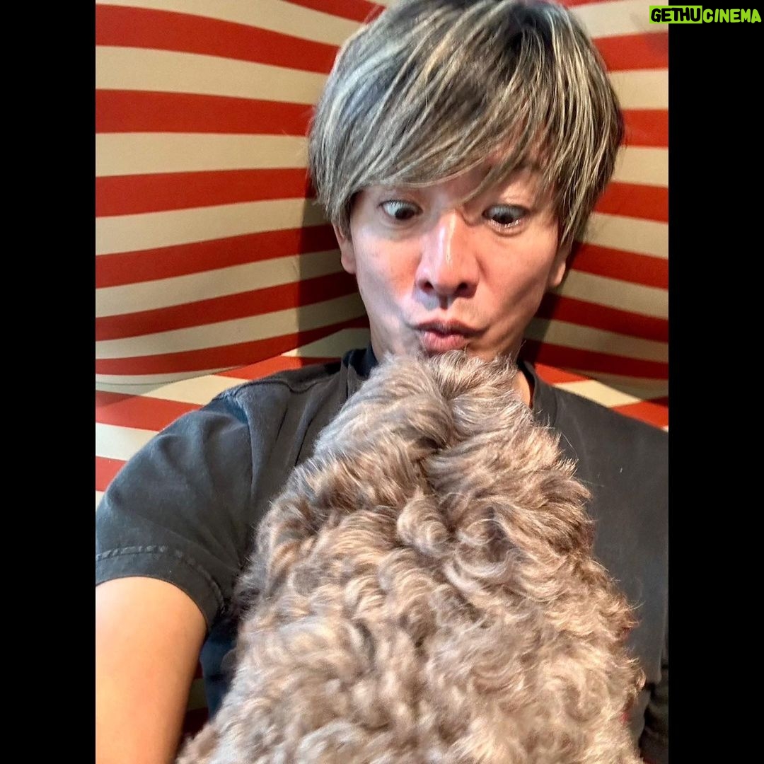Takuya Kimura - 152.1K Likes -
「今日も危険な暑さですねぇ〜❕
車を走らせると、夏休みを感じる人の多さでした…。
帰宅すると、お待ちかねの感情が爆発してます…。」
PEACE‼︎
STAYSAFE!
拓哉
#木村拓哉#TakuyaKimura