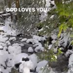 Tamera Mowry-Housley Instagram - Remember no matter where you are currently in life these affirmations ring true.💚 #godlovesyou #encouragement North Vancouver