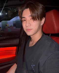 Tanapon Sukumpantanasan Instagram - 🦫🐤