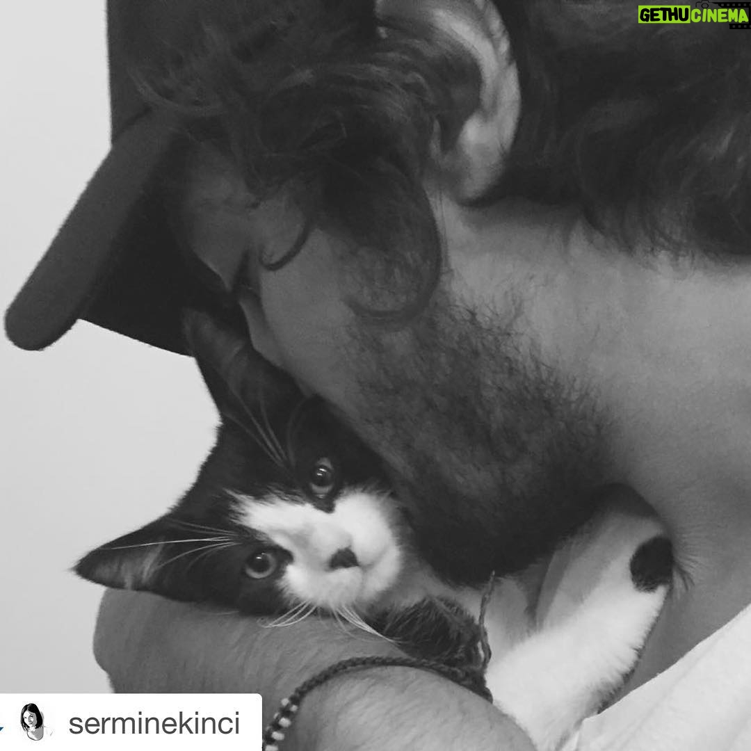 Taner Ölmez Instagram - Atom 🐾 #yavrum #cat