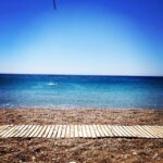 Taner Ölmez Instagram - 🐚