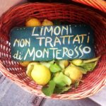 Taner Ölmez Instagram - Limoni🍋