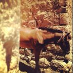 Taner Ölmez Instagram – Küheylan