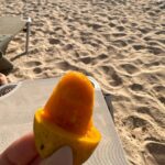 Tara Emad Instagram - الصيف و حلاوته 🥭🌊🌺