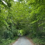 Tara Emad Instagram - Sticker tats, good food and family 🌸💖🔮🖼️ Montenegro