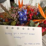 Tara Emad Instagram - A couple of days ago while in Cannes ✨ Swipe for real and fake flowers 🌸 🌺 💐 Cannes, French Riviera, France