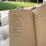 Tara Emad Instagram - (4) October-December