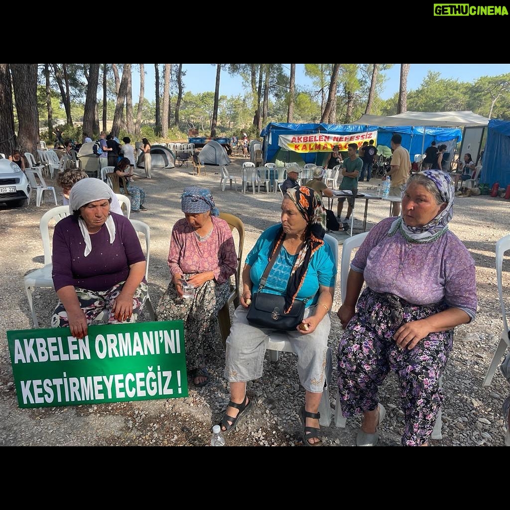 Tarkan Instagram - Doğanın hakları var! Akbelen ormanlarını rahat bırakın! Bu katliama direnen bölgedeki herkesin yanındayım. Nature has rights! Leave the forests of Akbelen alone! I’m with the people of the region who are fighting against this massacre of nature. #AkbeleneDokunma #AkbeleniRahatBırak #DoğanınHaklarıVar