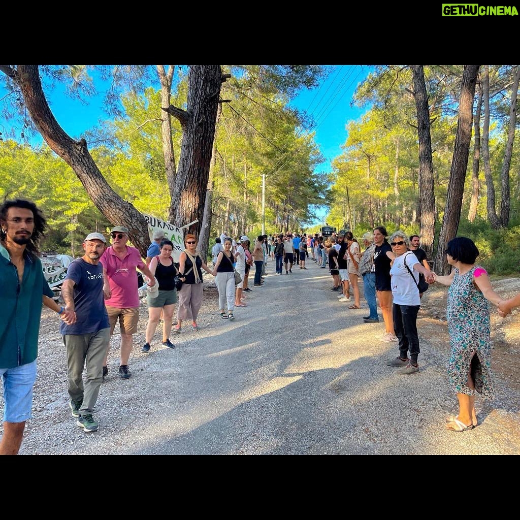Tarkan Instagram - Doğanın hakları var! Akbelen ormanlarını rahat bırakın! Bu katliama direnen bölgedeki herkesin yanındayım. Nature has rights! Leave the forests of Akbelen alone! I’m with the people of the region who are fighting against this massacre of nature. #AkbeleneDokunma #AkbeleniRahatBırak #DoğanınHaklarıVar