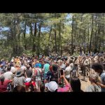 Tarkan Instagram - Doğanın hakları var! Akbelen ormanlarını rahat bırakın! Bu katliama direnen bölgedeki herkesin yanındayım. Nature has rights! Leave the forests of Akbelen alone! I’m with the people of the region who are fighting against this massacre of nature. #AkbeleneDokunma #AkbeleniRahatBırak #DoğanınHaklarıVar