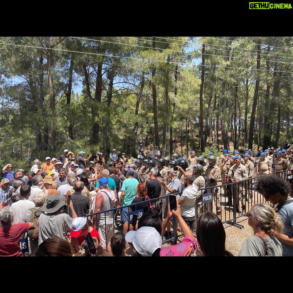 Tarkan Instagram - Doğanın hakları var! Akbelen ormanlarını rahat bırakın! Bu katliama direnen bölgedeki herkesin yanındayım. Nature has rights! Leave the forests of Akbelen alone! I’m with the people of the region who are fighting against this massacre of nature. #AkbeleneDokunma #AkbeleniRahatBırak #DoğanınHaklarıVar