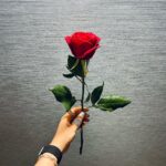 Tarlan Parvaneh Instagram - گل برای گل :))