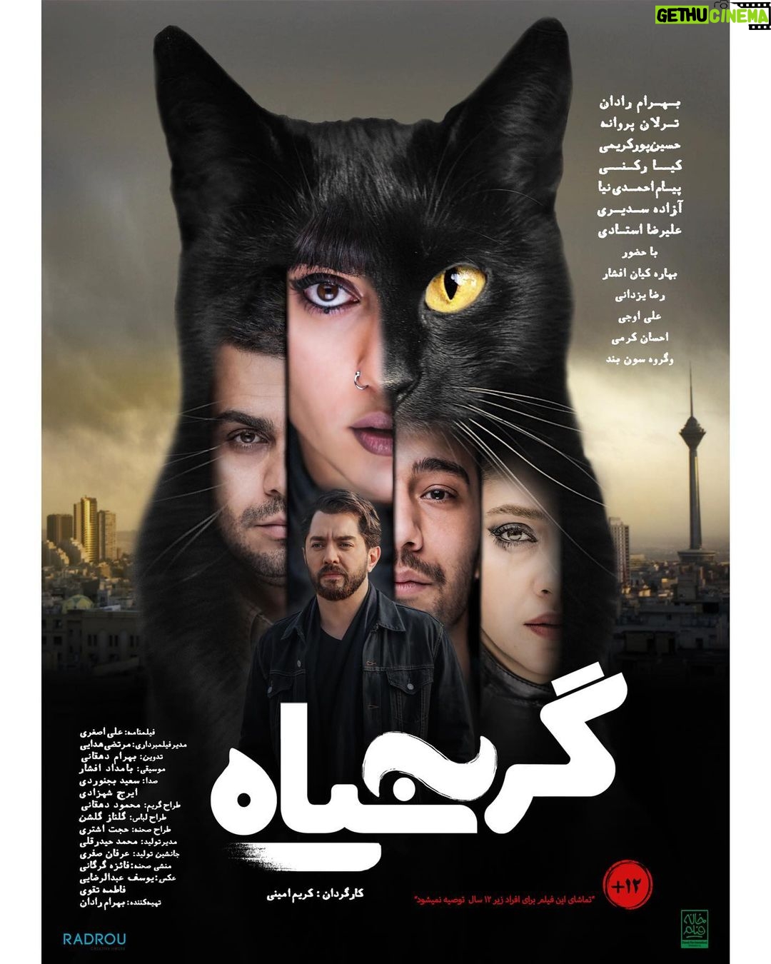 Tarlan Parvaneh Instagram - . رونمایی از پوستر فیلم «گربه سیاه» ۳ روز تا اکران سراسری . در فاصله سه روز تا اکران فیلم «گربه سیاه»، از اولین پوستر این فیلم رونمایی شد. . «گربه سیاه» موضوعی کاملا مرتبط با فضای امروزی جوانان، شهرت، فضای مجازی و موسیقی زیرزمینی دارد. در این فیلم بازیگرانی چون بهرام رادان، ترلان پروانه، حسین پورکریمی و کیارکنی با حضور افتخاری بهاره کیان افشار، احسان کرمی، رضا یزدانی، علی اوجی و گروه سون بند به همراه تعداد زیادی از بازیگران نام آشنای تئاتر و سینمای کشور در مقابل دوربین مرتضی هدایی ایفای نقش کردهاند. اولین اکران «گربه سیاه» در بخش مسابقه جشنواره ورشو ۲۰۲۰ بود و از چهارشنبه همین هفته در سینماهای ایران به روی پرده میرود. کارگردانی «گربه سیاه» را کریم امینی و تهیه کنندگی آن را بهرام رادان بر عهده دارد. پخش فیلم «گربه سیاه» در ایران بر عهده «خانه فیلم» است. طراح پوستر: تهمینه اذکاری . . #بهرام_رادان #ترلان_پروانه #گربه_سیاه