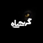 Tarlan Parvaneh Instagram - پانزده روز تا اکران فیلم بهرام رادان ویدیوی تازه پشت صحنه «گربه سیاه» . همزمان با انتشار ویدیوی تازه ای از تصاویر پشت صحنه فیلم «گربه سیاه»، لیست سرگروههای این فیلم به کارگردانی کریم امینی که در روز چهارشنبه ۱۰ آذرماه به روی پرده خواهد رفت، اعلام شد. . نویسنده فیلمنامه: علی اصغری، مدیر فیلمبرداری: مرتضی هدایی، فیلم‌بردار: همایون قربانی، صدابردار: سعیدبجنوردی، تدوین: بهرام دهقانی، صداگذار: ایرج شهزادی، موسیقی متن: بامداد افشار، مدیرتولید:محمدحیدرقلی، جانشین تولید:عرفان صفری، دستیار اول کارگردان: میثم بیدقی، برنامه ریز: فروزان جلالی .طراح صحنه: حجت اشتری، طراح لباس: گلناز گلشن، طراح گریم: محمود دهقانی، منشی صحنه: فائزه گرکانی، مدیرتدارکات: مهدی عباسی، کارگردان فیلم پشت صحنه: مانی قدرت‌نما، مشاور رسانه: معین منصوری‌نژاد، امور بین الملل: فهیمه پورقاسم، تهیه کننده: بهرام رادان، محصول: خانه خلاق رادرو، پخش از خانه فیلم. #گربه_سیاه