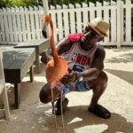 Taye Diggs Instagram - So many thanks to @bahamarresorts wow! It’s now my second time and I plan on coming back. Sun, fun and friends. Can’t wait to do it again! See u next time…. Hyatt Bahamar Resort, Nassau