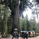 Taylor Kinney Instagram - Big thanks to @bmwmotorrad #bmwmotorrad #makelifearide From Los Angeles to San Francisco, Redwood Forest to Portland, Idaho to Vegas and back. My good friend @mrdogcoop had the most epic trip on these bikes. I remember reading about Ewan McGregor and his good friend Charlie’s trip from Scotland to South Africa on these bikes in the book ‘Long Way Down’. Always wanted the opportunity to take on a trip like theirs. We may not have covered as many miles but the memories on the road will last a lifetime. Safe travels and ride safe, cheers! @quitthecrew
