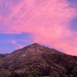 Taylor Lautner Instagram – Pink skies got me feelin some type of way 💓🌸🦩