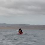 Taz Skylar Instagram - We were looking for Flamencos @vdpvincent Paracas, Ica, Peru