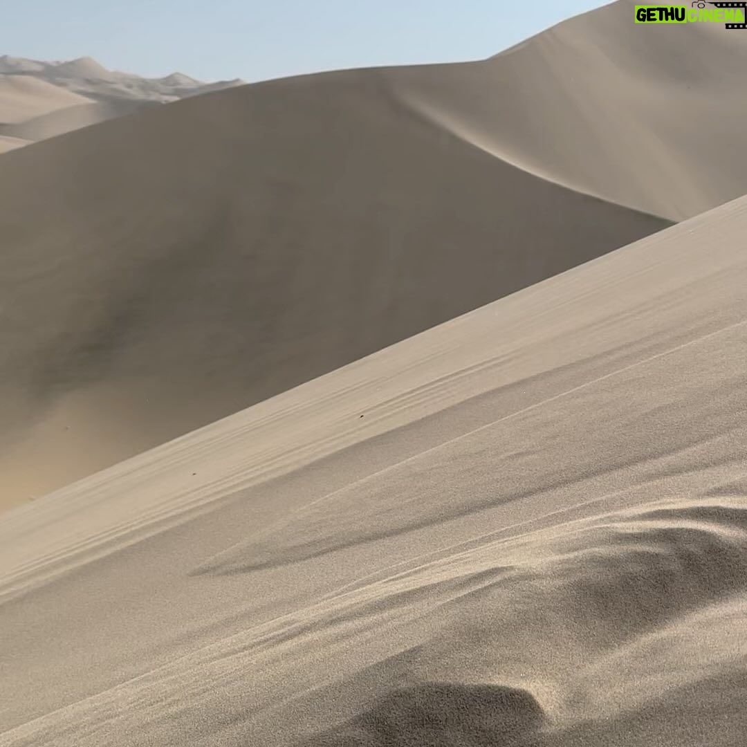 Taz Skylar Instagram - 🏝️ @vdpvincent Huacachina - Las Dunas