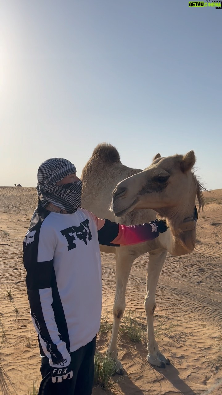Taz Skylar Instagram - When the camel looked me in the eyes, I felt very small all of a sudden 🐪 Desert Safari Tours Dubai