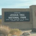 Taz Skylar Instagram - Running through the Joshua Tree desert at Sunset was easily a lifetime goal achieved 💥 Joshua Tree National Park