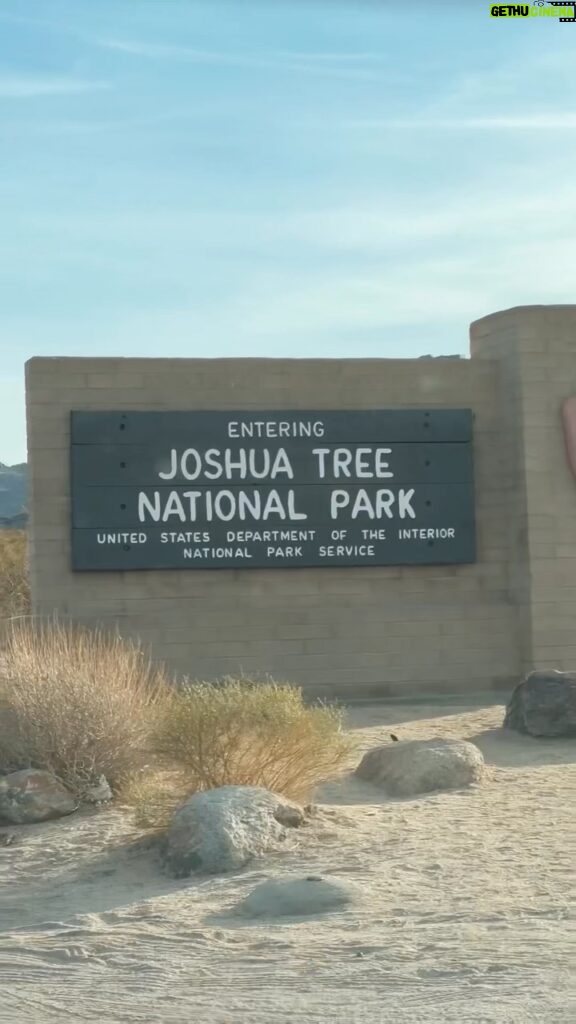 Taz Skylar Instagram - Running through the Joshua Tree desert at Sunset was easily a lifetime goal achieved 💥 Joshua Tree National Park