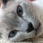 Ten Instagram -
