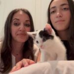 Terrence Howard Instagram - So happy that all of them found their forever homes ❤️ #fosterkittens #adoptpets #lovemakesyoubeautiful
