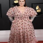 Tess Holliday Instagram – I may not be at the Grammys tonight, but I remember when I attended and broke the Internet 🍓🍓🫶 #strawberrydress #grammys #grammysredcarpet #lirikamatoshi