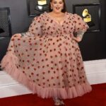 Tess Holliday Instagram – I may not be at the Grammys tonight, but I remember when I attended and broke the Internet 🍓🍓🫶 #strawberrydress #grammys #grammysredcarpet #lirikamatoshi