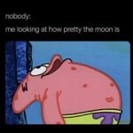 Tess Holliday Instagram - Y’all’s nephew chose to be a moon in his school play bc he knows the moon is my favorite!! 🥹 Also speaking of STARS please make sure to save this post so you don’t miss my new episode of @diverse.a.tea with the one, the only, @dexrated !! ⭐️✨🌝🌙❤️ #momlife #momsofinstagram