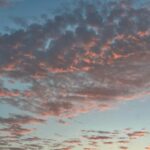 Tess Holliday Instagram – Nature reminds us everyday how beautiful diversity is. #effyourbeautystandards Joshua Tree National Park