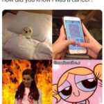 Tess Holliday Instagram - ♋️szn aka my time to shine!!!!🦀🌙🦀🌙🦀🌙🦀🌙🦀🌙🦀💓 #cancerian #cancer♋ #cancerszn #cancermemes #moonchild #cancerzodiac #cancerseason 𝓗𝓮𝓪𝓿𝓮𝓷.