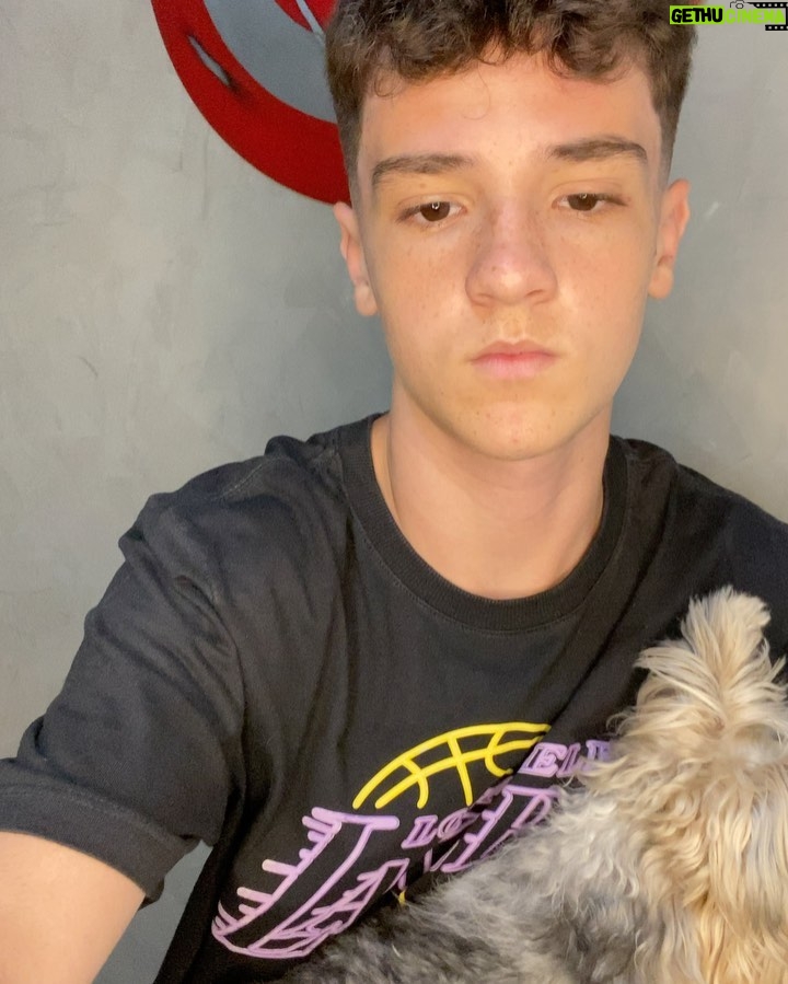 Théo Medon Instagram - passo a passo: como conseguir uma foto com seu cachorro 1: brinque com ele, para relaxar seu pet 2: convença ele, converse seriamente! 3: parabenize seu animal! e a foto de capa foi a ÚNICA, repito, a ÚNICA foto q eu consegui 😗 #theomedon #cachorro #pet