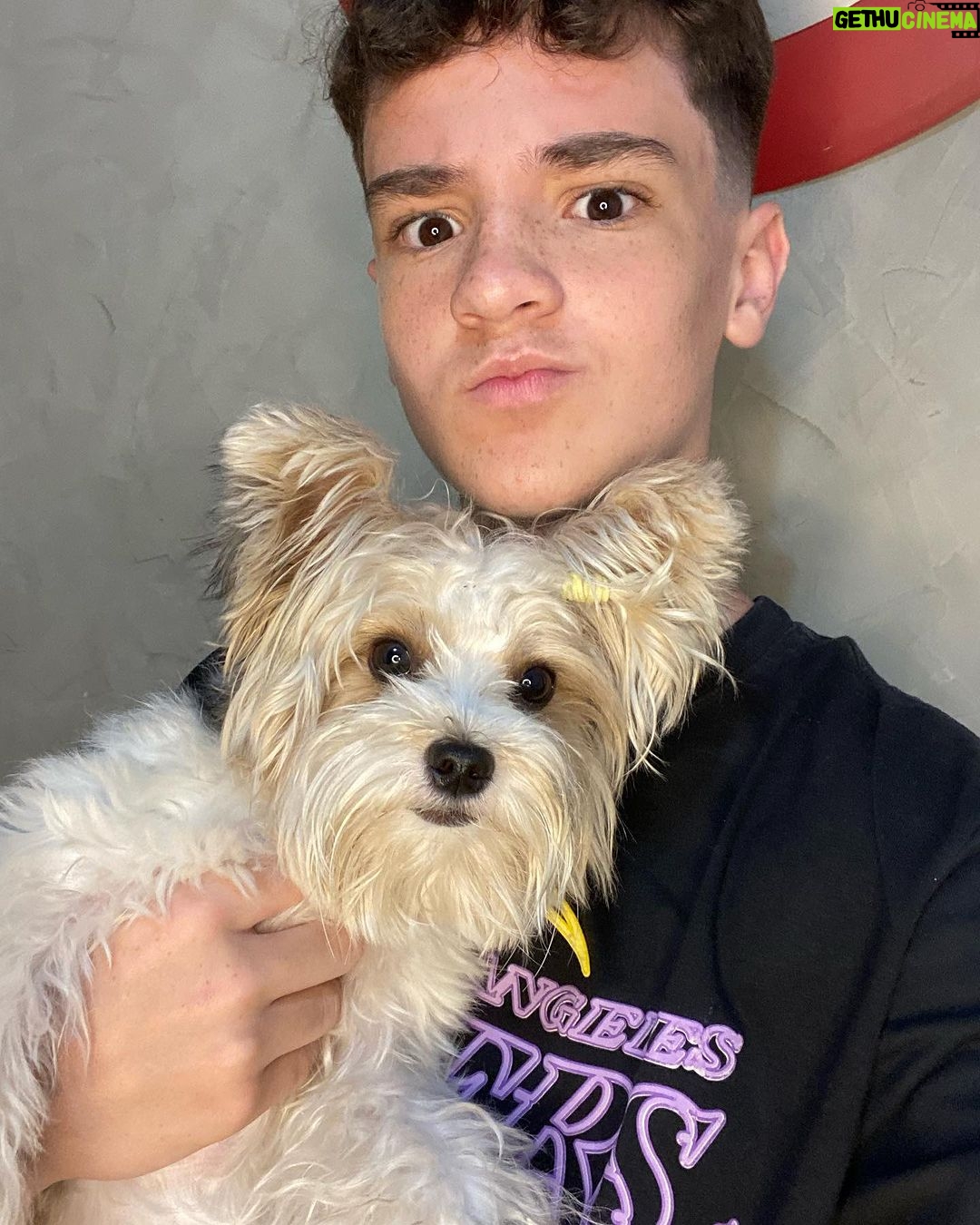 Théo Medon Instagram - passo a passo: como conseguir uma foto com seu cachorro 1: brinque com ele, para relaxar seu pet 2: convença ele, converse seriamente! 3: parabenize seu animal! e a foto de capa foi a ÚNICA, repito, a ÚNICA foto q eu consegui 😗 #theomedon #cachorro #pet