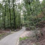 Thaila Ayala Instagram - - Amsterdã e seus canais 🥰 - Segunda maior coleção de Van Gogh no meio da floresta do Parque Nacional Hoge Veluwe 🤤 - Um tiquinho de de Emo style com @blink182 Kröller-Muller museum, Park De hoge Veluwe