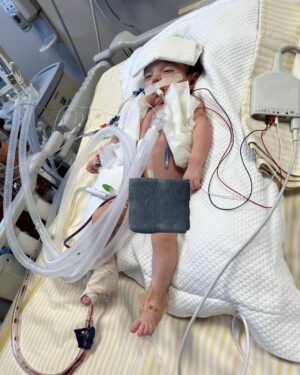 Thaila Ayala Instagram - Nadaaaa te prepara p esse dia, p esse momento. 
A caminho da cirurgia! A caminho de entregar minha filha sem saber se receberia ela de volta. 
Eu confesso que cheguei até o dia da cirurgia bem, forte, firme MUITO CONFIANTE!
Minha irmã um dia falou “ você deve estar numa agonia só né?” e eu respondi do fundo do coração “ QUEM CRÊ EM DEUS NÃO VIVE EM AGONIA” e era exatamente assim q eu estava me sentindo.
Até a noite anterior. 
Pensar q aquela noite poderia ser a última, era como se o as horas se esfarelassem e escorressem pelos meus dedos.
Cada segundo doía, doía demais.
Nunca senti tanta vontade de PARAR O TEMPO!
Eu sabia de todo meu coração q Deus estava cuidando de tudo, TUDO, mas e se a vontade de Deus não fosse a mesma q a minha, eu sabia q ele estava do meu lado cada segundo, eu sentia o seu abraço apertado, ouvia sua voz dizendo eu tô aqui, sou teu pai, desamparada vc não está. Confia! 
Mas se o q ele quisesse p mim não fosse exatamente o q eu PRECISAVA q era a cura da minha filha. Ainda sim eu ouvia ele dizer “ vc será meu testemunho e Tereza tbm” mas confesso q qdo o sol amanheceu e a hora se aproximou o medo arrombou a porta da minha alma e gelou tudo por dentro.
Fui eu e ela p sala de cirurgia, eu não sentia mais meu corpo, era o q se tudo flutuasse numa massa de agonia, de desespero.
Foi Deus q a pegou no colo e a deixou naquela maca pq eu jamais teria conseguido, eu JAMAIS vou esquecer daquele corpinho tão minúsculo naquela maca enorme.
Me deixaram ficar até ela apagar, colocaram a máscara de gás no rostinho dela e ela tentando se soltar olhando p mim como quem pede “socorro mamãe, me ajuda” foi qdo eu fui até o ouvido dela e cantei “um dia gatinha manhosa eu prendo você no meu coração” q é a música q a gente canta desde q ela nasceu e q ela acalma na hora, ela acalmou e deixou ser anestesiada. Eu vi os olhinhos dela se fecharem. 
Ali meu mundo parou.
Eu tive q ser carregada literalmente p fora da sala, era impossível deixá-la lá.
E foram horas mais densas da história.
Aqui falta palavras p conseguir descrever o q são essas horas. Até o telefonema “ela está bem, deu tudo certo”!
Continua nos comentários ⬇️