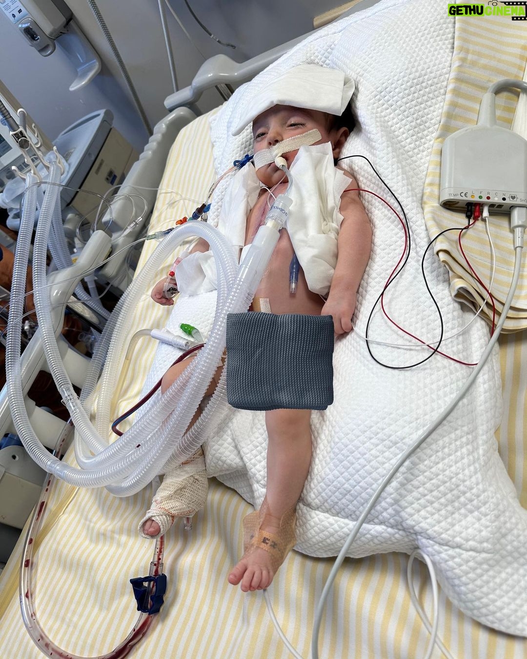 Thaila Ayala - 712.1K Likes - Nadaaaa te prepara p esse dia, p esse momento.
A caminho da cirurgia! A caminho de entregar minha filha sem saber se receberia ela de volta.
Eu confesso que cheguei até o dia da cirurgia bem, forte, firme MUITO CONFIANTE!
Minha irmã um dia falou “ você deve estar numa agonia só né?” e eu respondi do fundo do coração “ QUEM CRÊ EM DEUS NÃO VIVE EM AGONIA” e era exatamente assim q eu estava me sentindo.
Até a noite anterior.
Pensar q aquela noite poderia ser a última, era como se o as horas se esfarelassem e escorressem pelos meus dedos.
Cada segundo doía, doía demais.
Nunca senti tanta vontade de PARAR O TEMPO!
Eu sabia de todo meu coração q Deus estava cuidando de tudo, TUDO, mas e se a vontade de Deus não fosse a mesma q a minha, eu sabia q ele estava do meu lado cada segundo, eu sentia o seu abraço apertado, ouvia sua voz dizendo eu tô aqui, sou teu pai, desamparada vc não está. Confia!
Mas se o q ele quisesse p mim não fosse exatamente o q eu PRECISAVA q era a cura da minha filha. Ainda sim eu ouvia ele dizer “ vc será meu testemunho e Tereza tbm” mas confesso q qdo o sol amanheceu e a hora se aproximou o medo arrombou a porta da minha alma e gelou tudo por dentro.
Fui eu e ela p sala de cirurgia, eu não sentia mais meu corpo, era o q se tudo flutuasse numa massa de agonia, de desespero.
Foi Deus q a pegou no colo e a deixou naquela maca pq eu jamais teria conseguido, eu JAMAIS vou esquecer daquele corpinho tão minúsculo naquela maca enorme.
Me deixaram ficar até ela apagar, colocaram a máscara de gás no rostinho dela e ela tentando se soltar olhando p mim como quem pede “socorro mamãe, me ajuda” foi qdo eu fui até o ouvido dela e cantei “um dia gatinha manhosa eu prendo você no meu coração” q é a música q a gente canta desde q ela nasceu e q ela acalma na hora, ela acalmou e deixou ser anestesiada. Eu vi os olhinhos dela se fecharem.
Ali meu mundo parou.
Eu tive q ser carregada literalmente p fora da sala, era impossível deixá-la lá.
E foram horas mais densas da história.
Aqui falta palavras p conseguir descrever o q são essas horas. Até o telefonema “ela está bem, deu tudo certo”!
Continua nos comentários ⬇️