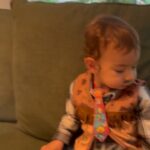 Thaila Ayala Instagram - Sobre um final de semana cheio de amor e São João!