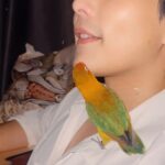 Thanat Lowkhunsombat Instagram – เรื่องหนวดไว้ใจหนู 🦜