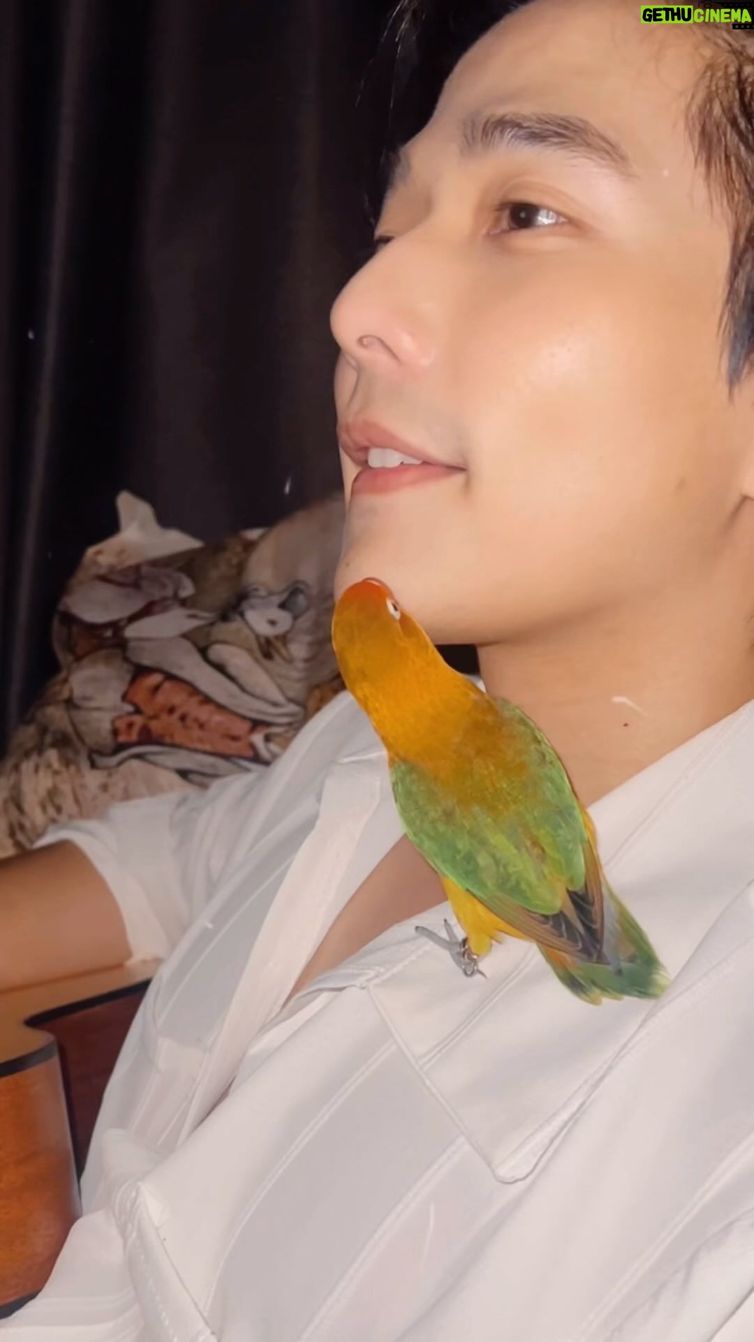 Thanat Lowkhunsombat Instagram - เรื่องหนวดไว้ใจหนู 🦜