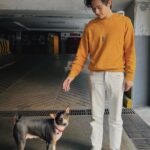 Thanat Lowkhunsombat Instagram - ลีเพื่อนโซเฟีย 🐶